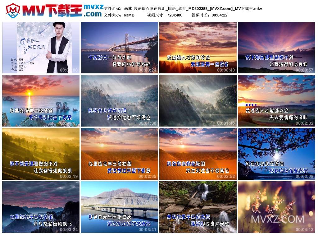 暴林-风在伤心我在流泪_国语_流行_MD302288